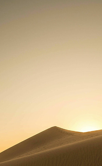 Golden sands, Remote wilderness, Vast expanse, Desert sunsets HD phone wallpaper