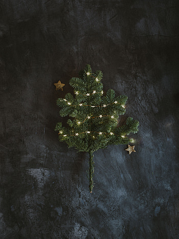 Holidays, New Year, Christmas, Branch, Fir, Spruce, Garland HD phone wallpaper
