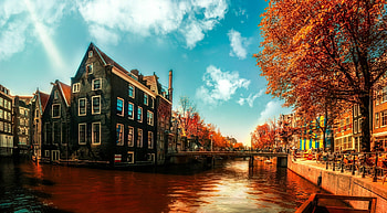 Amsterdam autumn, Colorful leaves, Seasonal beauty, Dutch city HD wallpaper