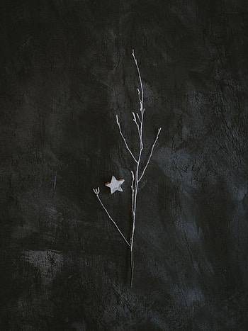 Miscellanea, Miscellaneous, Minimalism, Branch, Grey, Star HD phone wallpaper