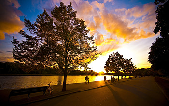End Of Summer, sea, sun, lake, tree HD wallpaper
