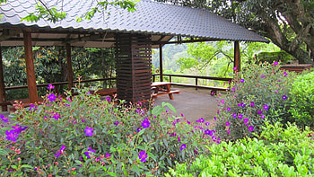 Forest Farm pavilion, pavilion, flowers, rest areas, forest farm HD wallpaper