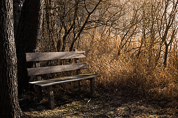 Bench Bank Seat , bench, seat HD wallpaper