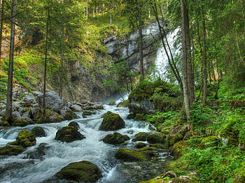 Forest, Landscape, Nature, Rivers, Stones, Waterfall HD wallpaper
