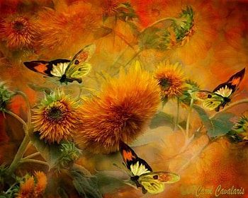 Butterflies, artwork, painting, petals, insects, flowers HD wallpaper