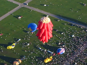 Red Flower Hot Air Balloon, hot, grass, air, flower HD wallpaper