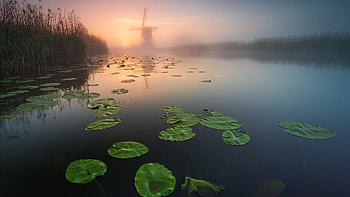 Lake Windmill Mist, Lake, Nature, Mist, Windmill HD wallpaper