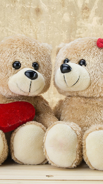 Teddy Bear Ka, Couple, Teddy Bear HD phone wallpaper