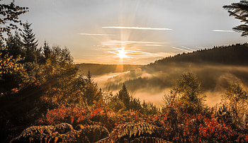 Nature, Trees, Sunset, Sky, Autumn, Forest HD wallpaper