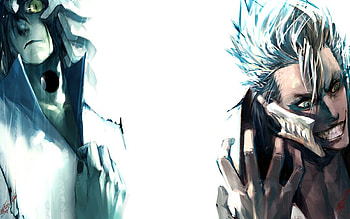 ulquiorra & grimmjow, espasda, ulquiorra, bleach, anime, grimmjow HD wallpaper