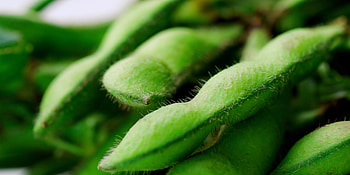 Nutrition health benefits, Edamame recipes, Edamame HD wallpaper