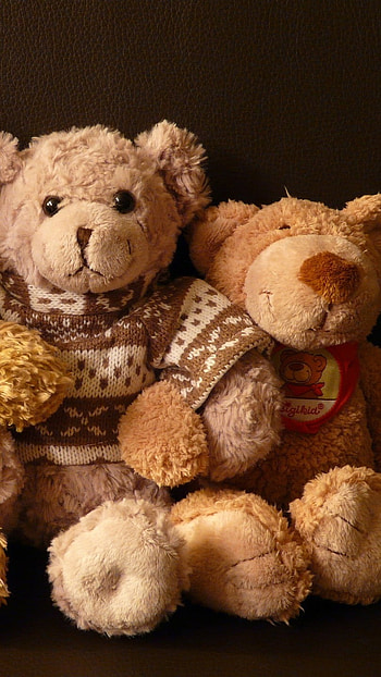 Teddy Bear Ke, Beautiful, Teddy Bear HD phone wallpaper