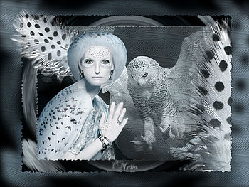 Owl Lady, blue-grey, lady, white, black, mystery, feathers, owl HD wallpaper