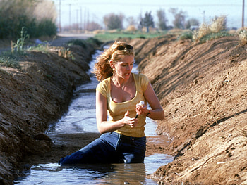 Julia Roberts, 54th birtay, Pretty Woman star, On-screen transformations HD wallpaper