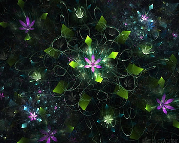 Abstract flowers, blue, black, pink, abstract, flower, green, texture, luminos, fractal HD wallpaper