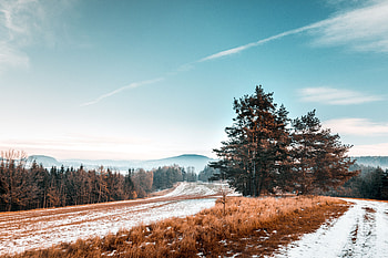 Landscape, Nature, Trees, Grass, Sky, Snow, Road HD wallpaper