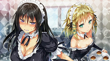 Black Bullet Anime Girls HD wallpaper