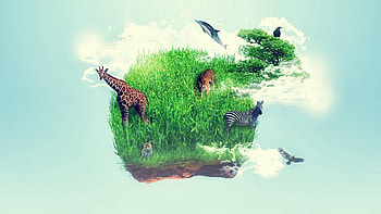 Animals, Abstract, Grass, Island, Imagination, Giraffe HD wallpaper