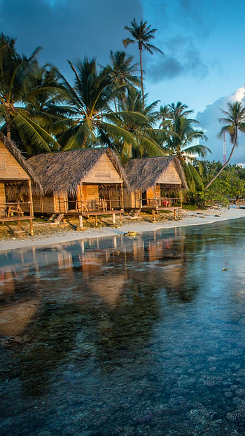 French Polynesia, Best , Cool backgrounds, Tropical paradise HD phone wallpaper