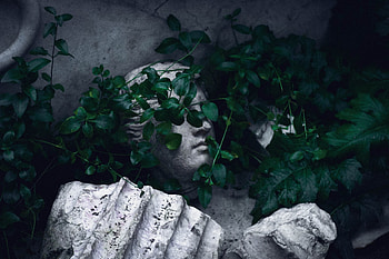 Miscellanea, Miscellaneous, Foliage, Sculpture, Antique, Ruin, Ruins HD wallpaper