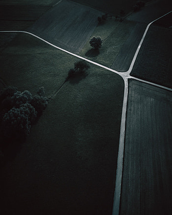 Nature, Trees, Grass, View From Above, Dark, Field HD phone wallpaper