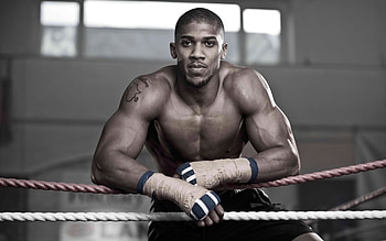British Heavyweight Muscle — Boxing HD wallpaper