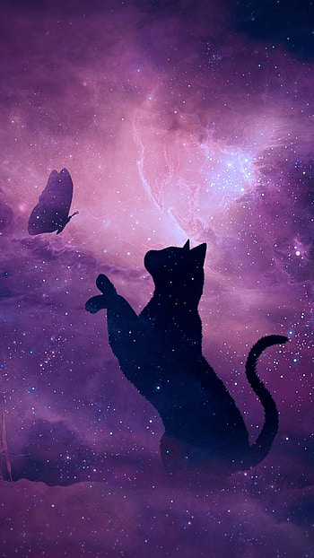 Butterfly, Galaxy Cat HD phone wallpaper