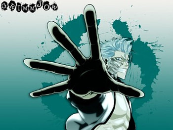 Talk to The Hand, grimmjow bleach 6 espada HD wallpaper