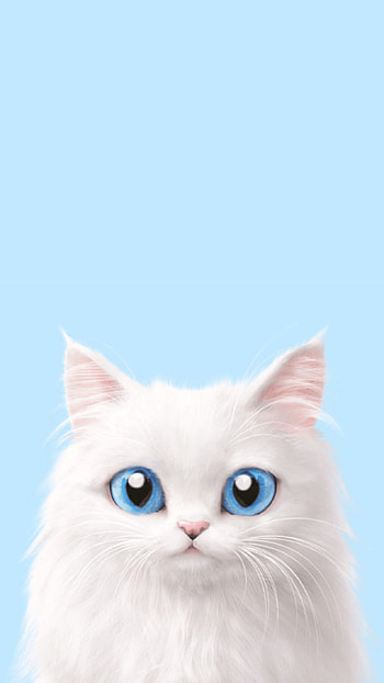 Impressive cat , Aesthetic cat backgrounds, Beautiful cat ry, Striking cat graphy HD phone wallpaper