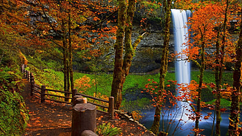 Waterfall in autumn forest, colors, trees, river, leaves, fall HD wallpaper