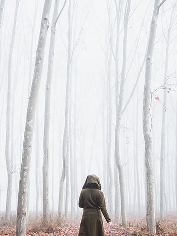 A solitary figure in a coat walking through a foggy autumn forest with tall bare trees. HD phone wallpaper