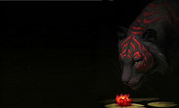 The red lotus, tigru, water, lotus, black, tiger, art, big cat, dark, pisici, fantasy, flower, red HD wallpaper