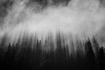 Black forest, atmosphere, cloud, beauty, natural HD wallpaper