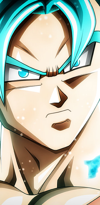 Vegito (Dragon Ball), Anime, Dragon Ball Super HD phone wallpaper
