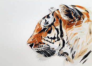 Tiger, predator, animal, muzzle, art HD wallpaper