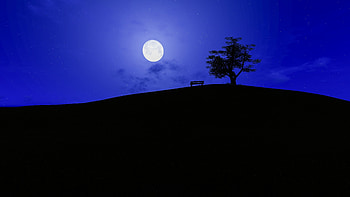 Night, moon, landscape, tree HD wallpaper