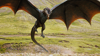 Dragon, Game Of Thrones, Tv Show HD wallpaper