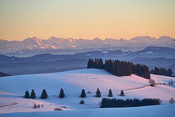 Nature, Trees, Mountains, Snow, Dahl, Distance HD wallpaper