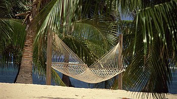Nature, Sand, Palms, Grid, Hammock HD wallpaper