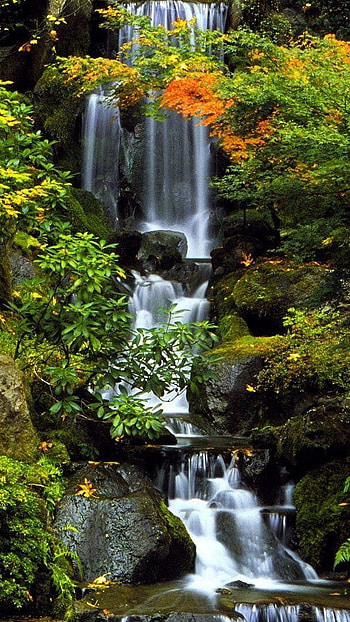 Green waterfall, greener, waterfall, nature, japan HD phone wallpaper