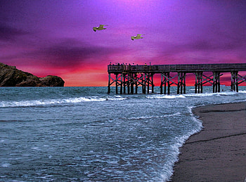 Evening at the beach, birds, evening, sunset, beach HD wallpaper