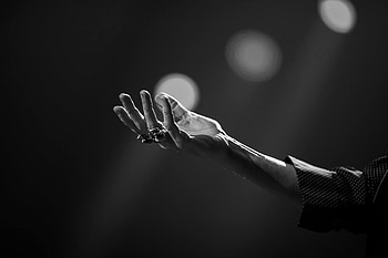 LP, 2022, Cantantes, Artistas HD wallpaper