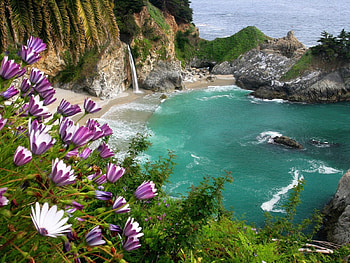 Beach, Landscape, Flowers, Sea HD wallpaper