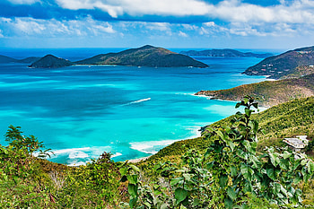 French deli Tortola, Store HD wallpaper