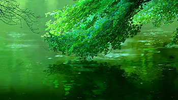The Garden of Words (2022) movie HD wallpaper