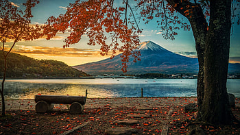 Mount Fuji, Japan, sky, tree, sunset, bench, volcano, lake HD wallpaper