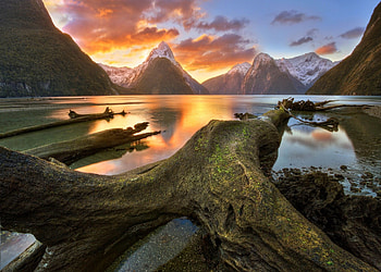 Milford Sound , Google search, Sky art, Milford's beauty HD wallpaper