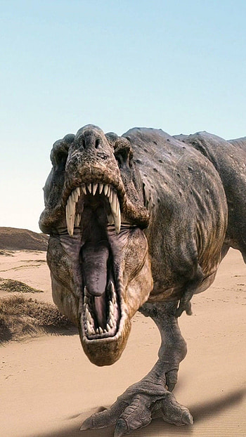 High-quality , Fascinating dinosaurs, , Dinosaur enthusiasts HD phone wallpaper