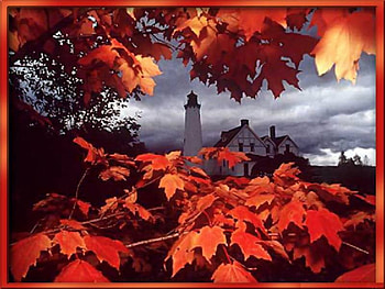 Red Leaf, autumn leaves, tower, house HD wallpaper