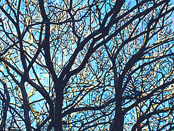 the art of trees, blue, trees, beatiful, forests, paintings HD wallpaper